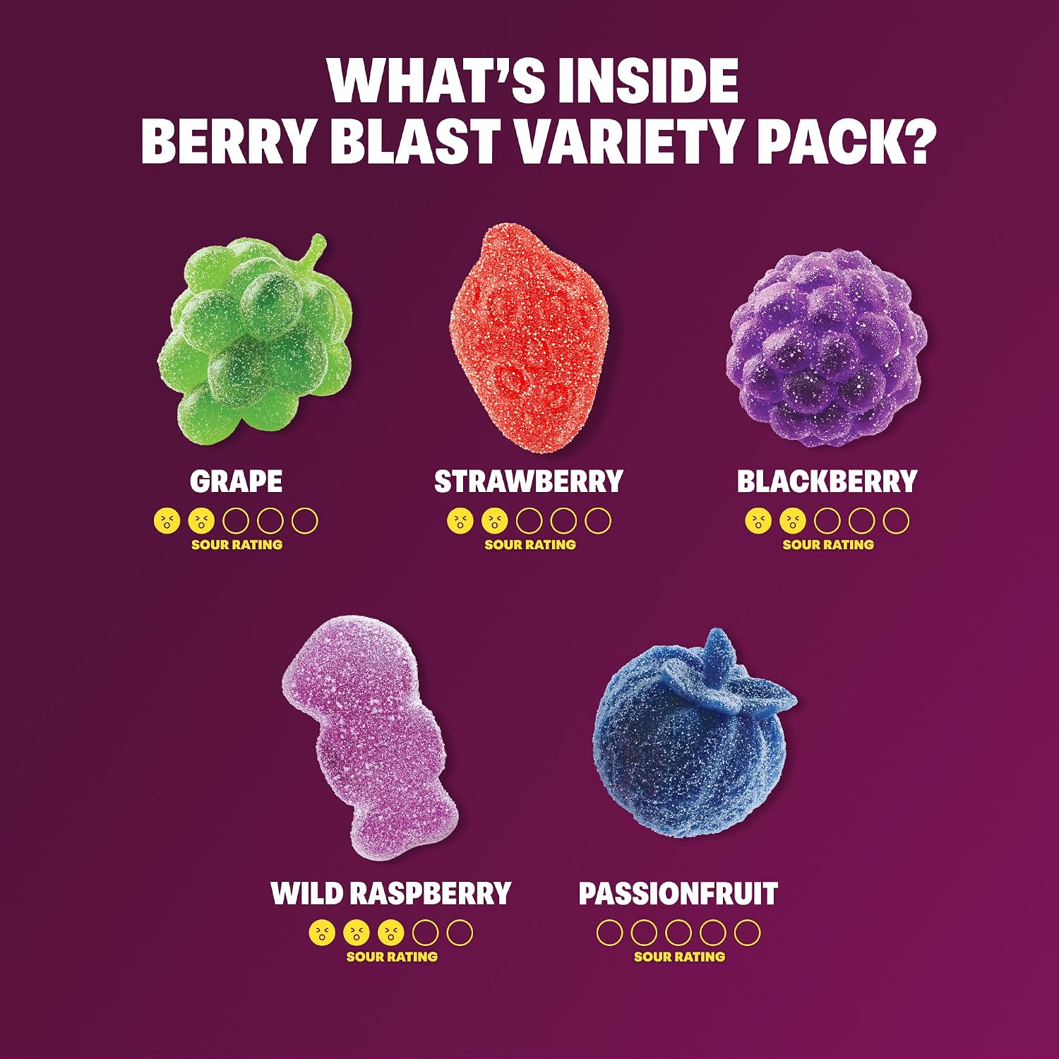 Shameless Snacks Berry Blast Fruit & Gummy Candy Variety Pack