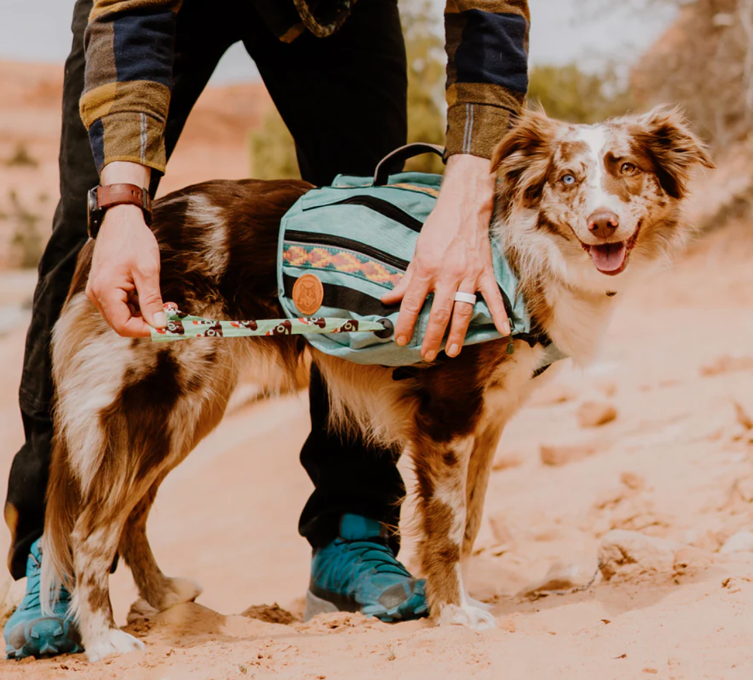 Dog Backpack