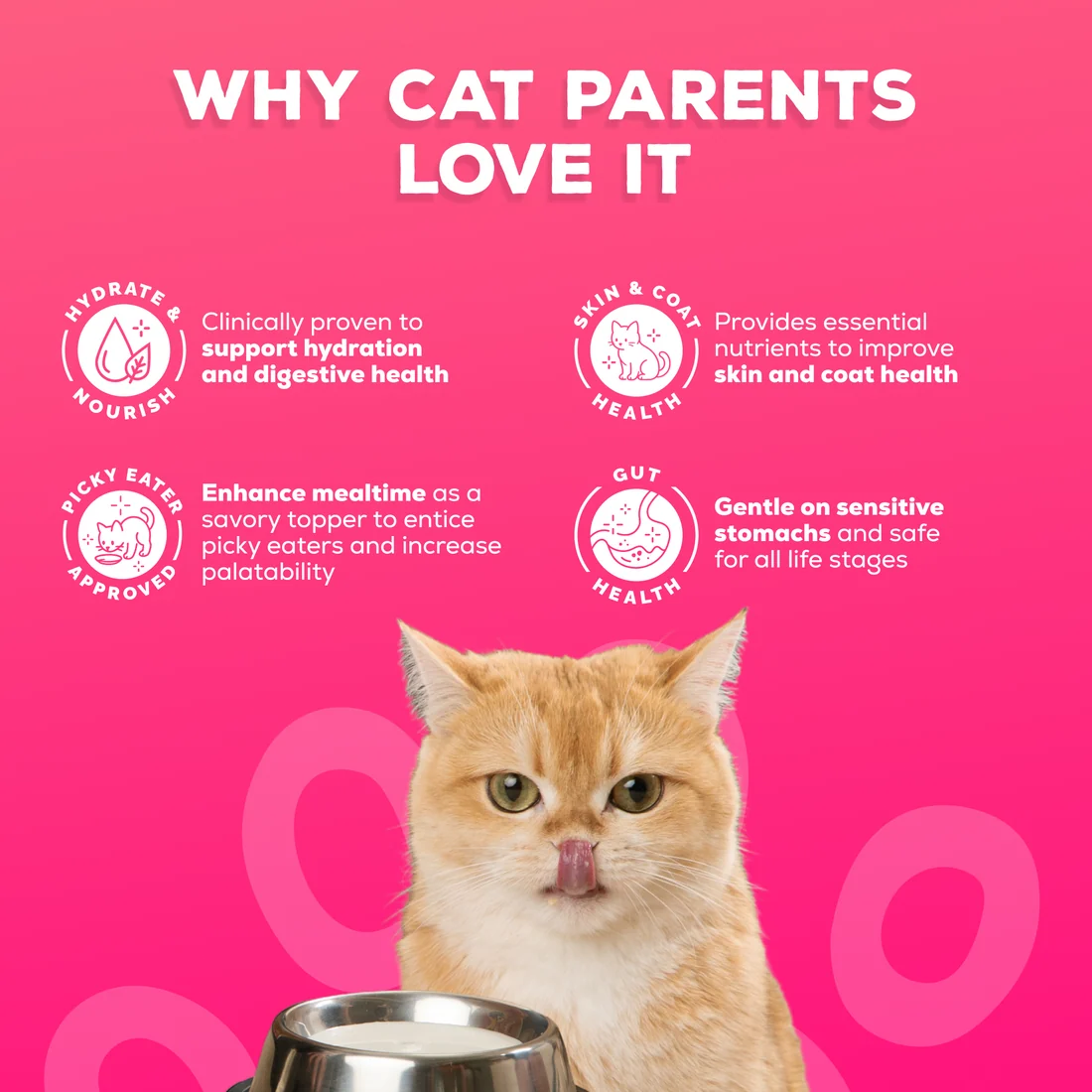 Goat Milk for Cats