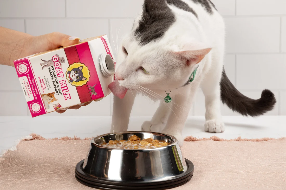 Goat Milk for Cats